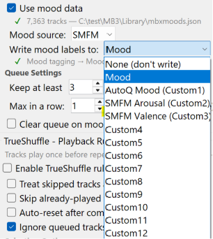 MusicBee Custom Tags Configuration